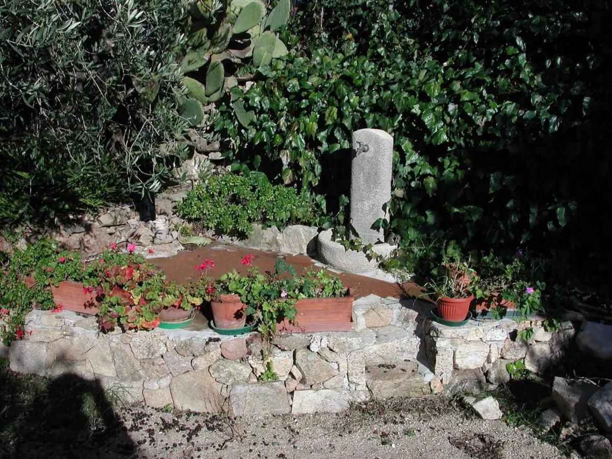 Hotel Casa In Campagna Dorgali Exterior foto